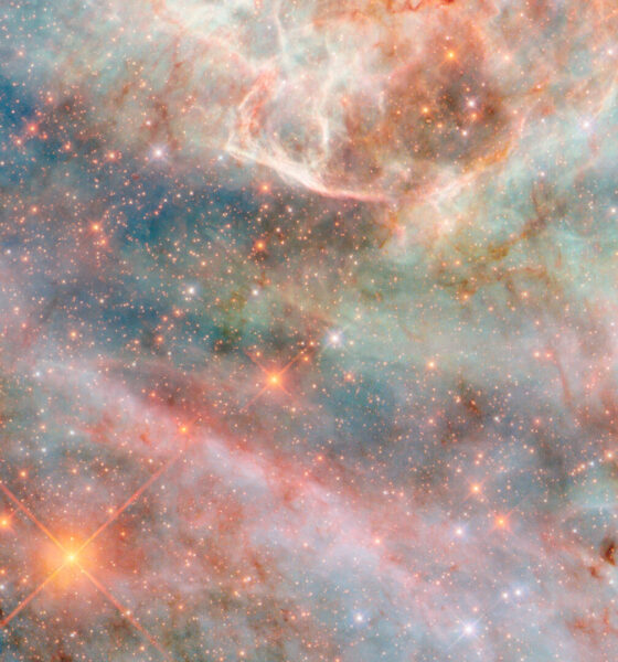 A fotografia, creditada à ESA/Hubble & NASA e ao pesquisador C. Murray, representa mais um capítulo na contínua exploração do universo pelo Telescópio Espacial Hubble, que há décadas nos surpreende com suas revelações sobre o cosmos.