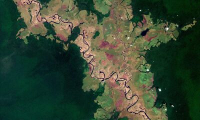 Vista aérea do rio Likouala-aux-Herbes na República do Congo, capturada pelo satélite Copernicus Sentinel-2 da ESA