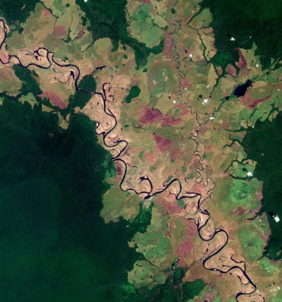 Vista aérea do rio Likouala-aux-Herbes na República do Congo, capturada pelo satélite Copernicus Sentinel-2 da ESA
