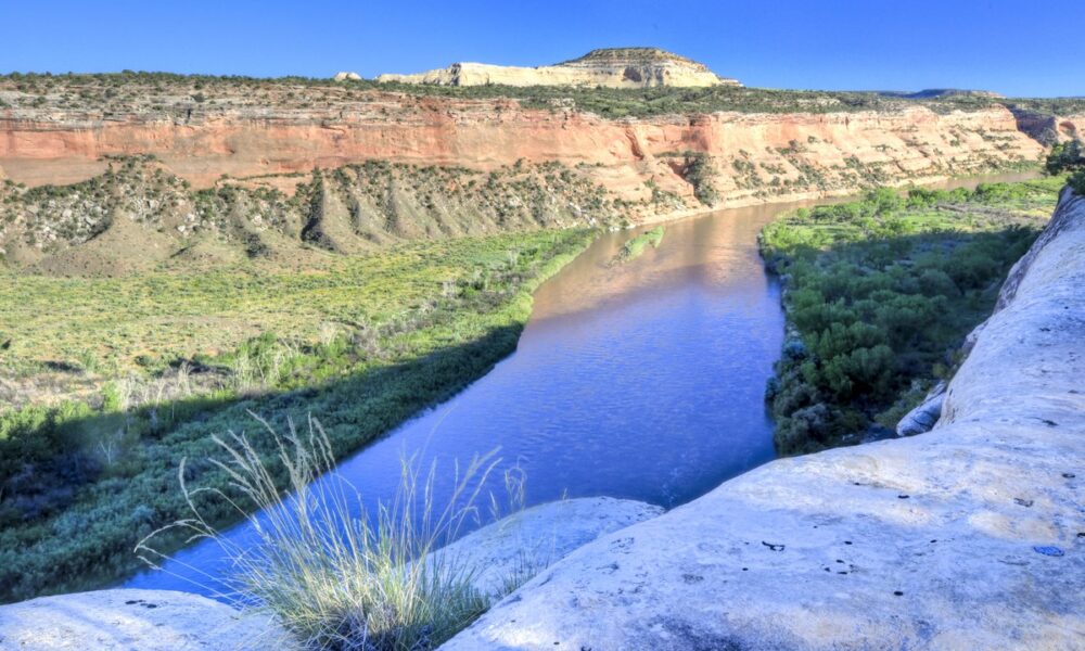 Vista aérea do rio Colorado no Utah, com vegetação ribeirinha nas margens e canyon ao fundo