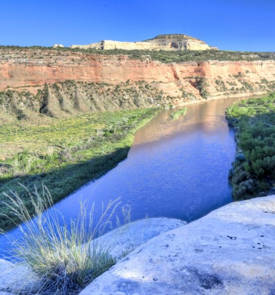 Vista aérea do rio Colorado no Utah, com vegetação ribeirinha nas margens e canyon ao fundo
