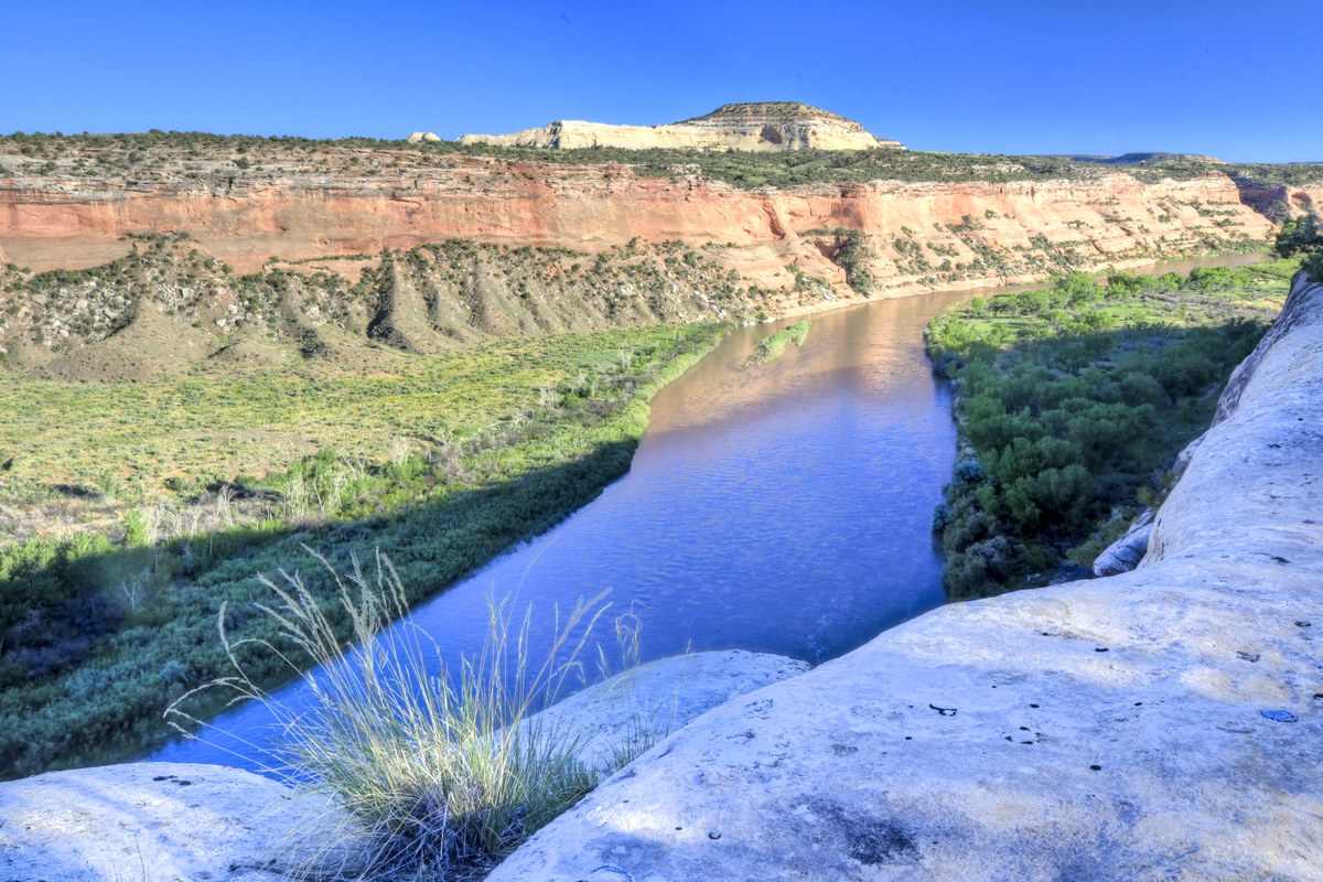 Vista aérea do rio Colorado no Utah, com vegetação ribeirinha nas margens e canyon ao fundo