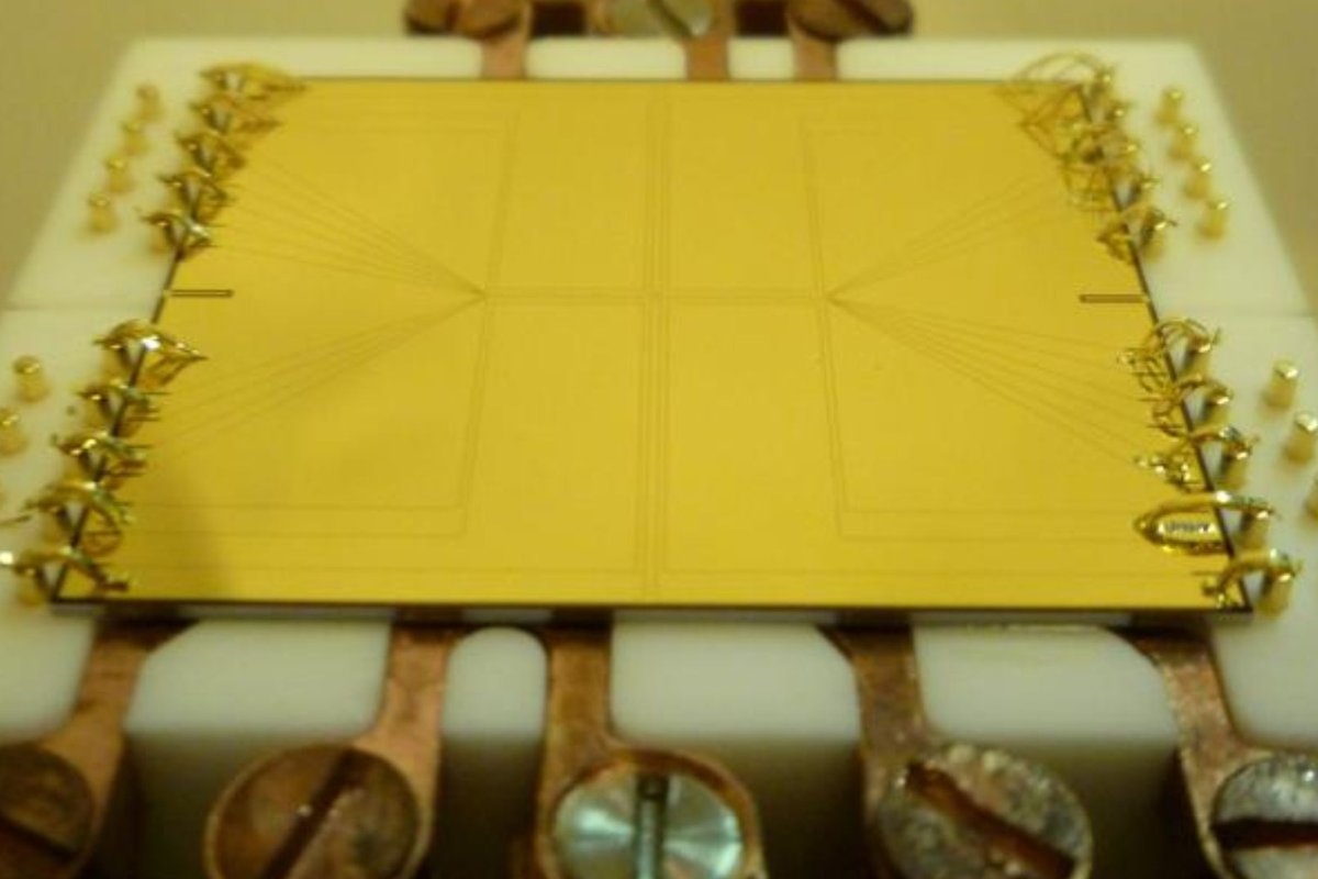 Objetos quânticos sentem a gravidade
