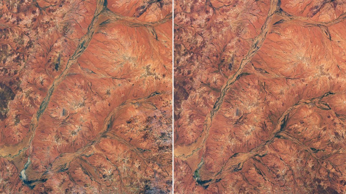 Duas imagens de satélite lado a lado mostram terreno avermelhado com canais ramificados e trechos de vegetação verde