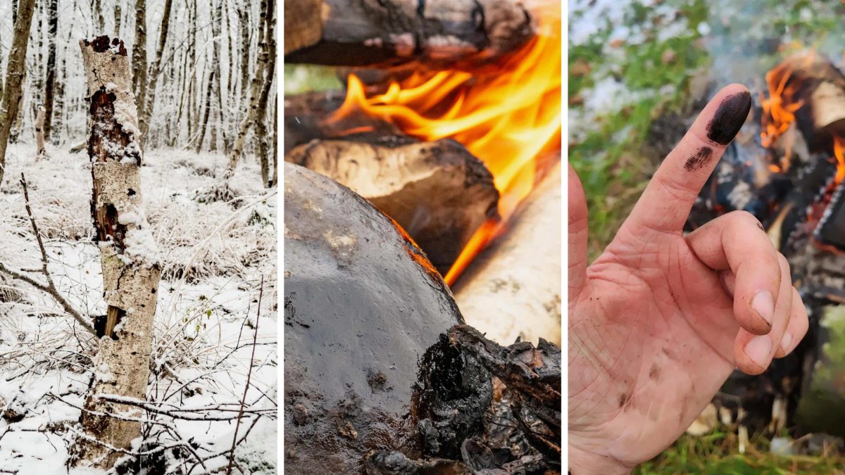 Três painéis: tronco de casca clara com resina escura na neve, massa negra junto ao fogo e dedo manchado de preto