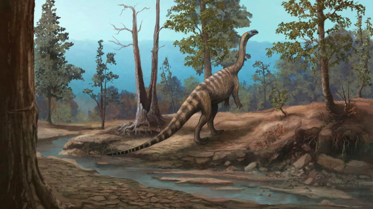 Pintura de dinossauro de pescoço longo e cauda listrada andando em barranco ao lado de um riacho, entre árvores