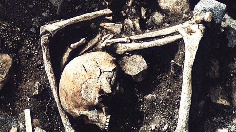 Ossada humana exposta em terra escura, com crânio rachado em primeiro plano e ossos longos e pedras ao redor.
