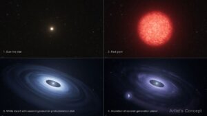 Quatro painéis ilustrados: estrela tipo Sol, gigante vermelha, anã branca com disco e um pequeno planeta próximo ao disco