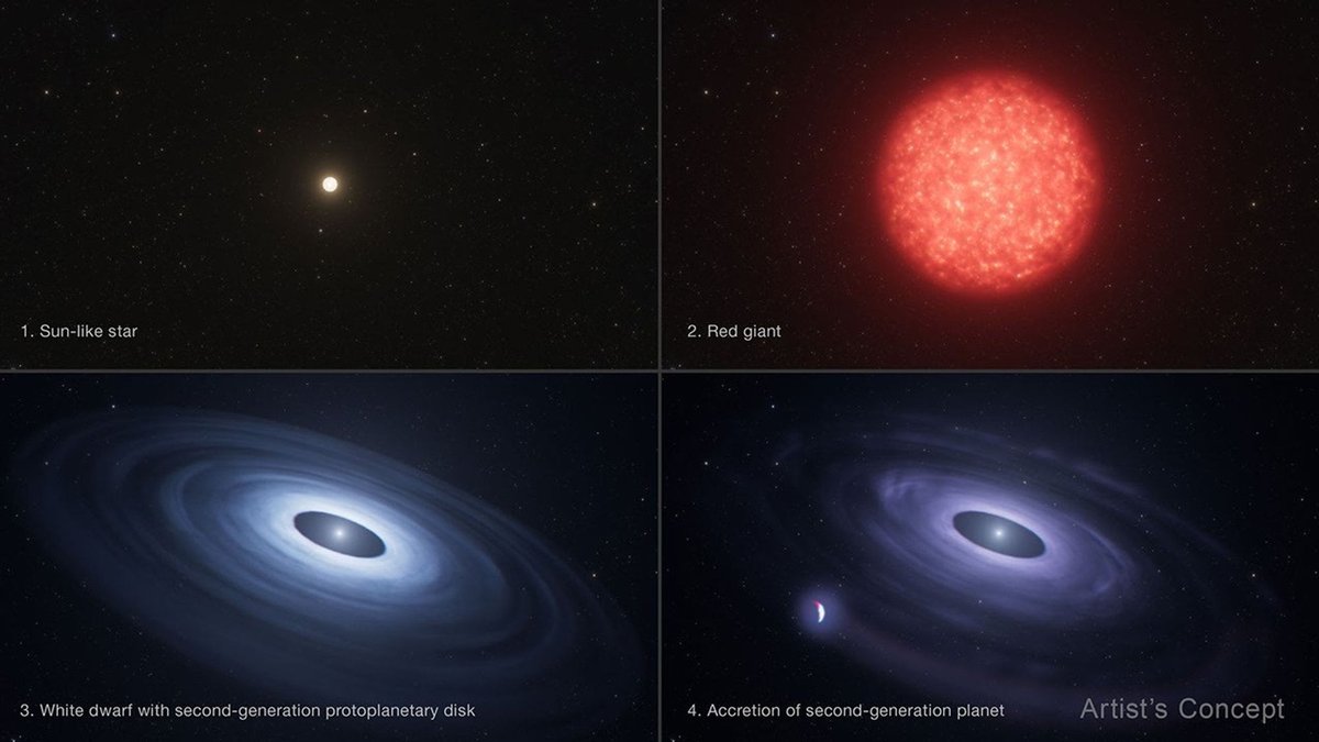 Quatro painéis ilustrados: estrela tipo Sol, gigante vermelha, anã branca com disco e um pequeno planeta próximo ao disco