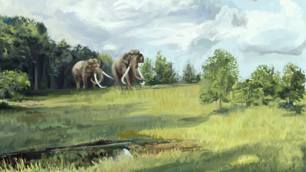 Ilustração de dois elefantes de presas longas caminhando em campo aberto, com árvores ao fundo e um riacho na frente