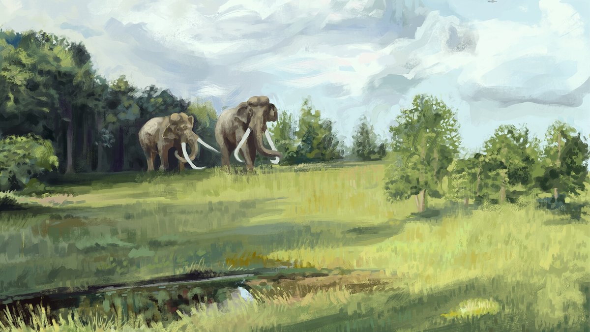 Ilustração de dois elefantes de presas longas caminhando em campo aberto, com árvores ao fundo e um riacho na frente